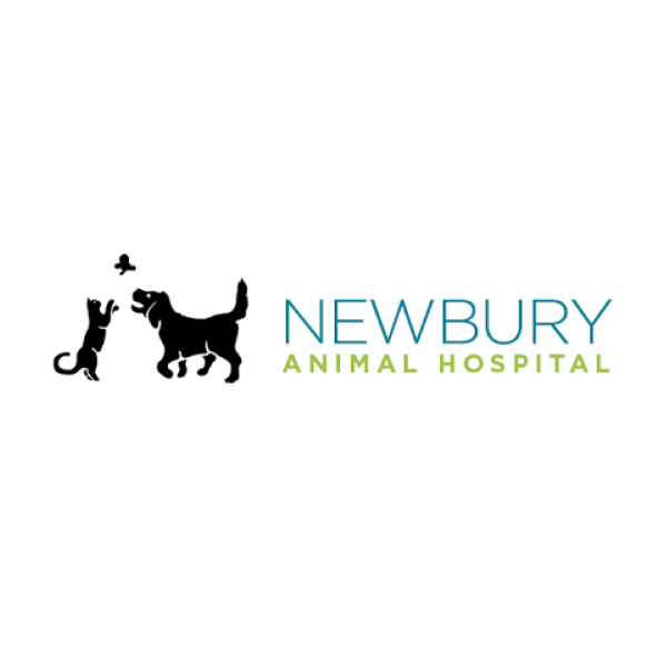 2020 Merrimack River Feline Rescue Society Virtual Strut for Strays