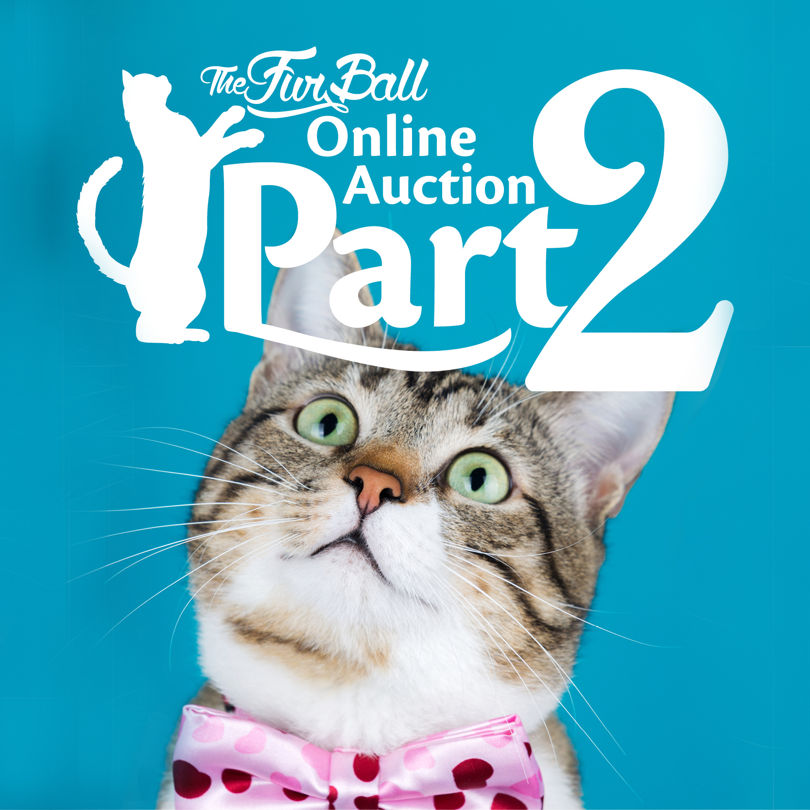 The 2018 Fur Ball Gala & Auction