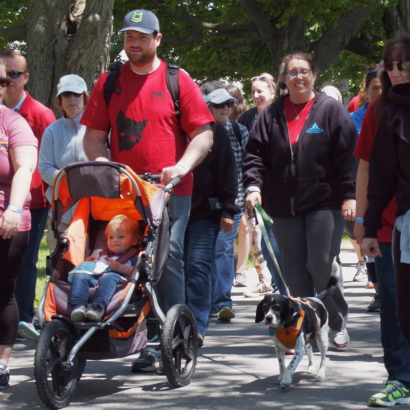 2022 Strut for Strays Fundraising Toolkit