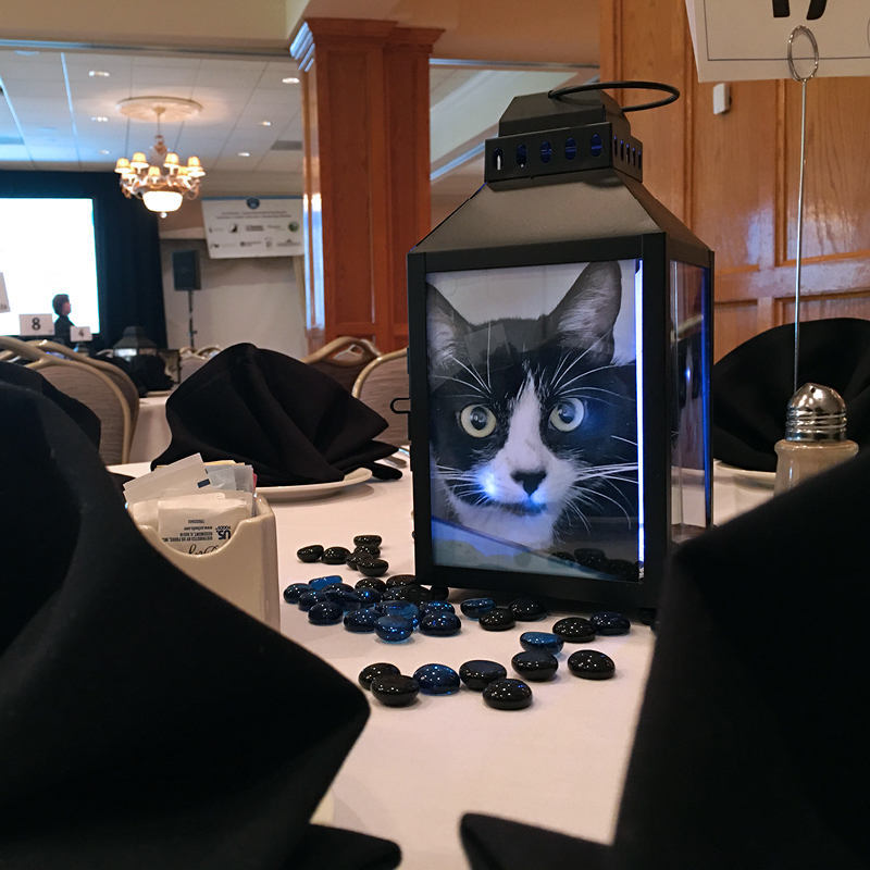 Thanks for Coming to the 2019 Fur Ball Gala & Auction