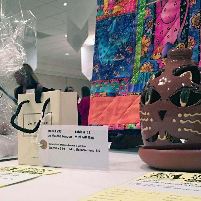 Thanks for Coming to the 2019 Fur Ball Gala & Auction