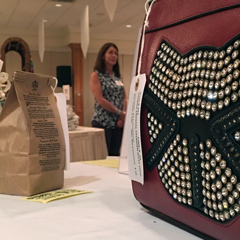 Thanks for Coming to the 2019 Fur Ball Gala & Auction