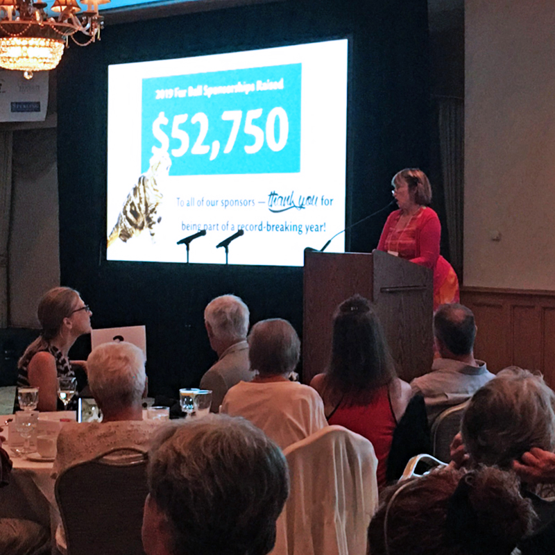 Thanks for Coming to the 2019 Fur Ball Gala & Auction
