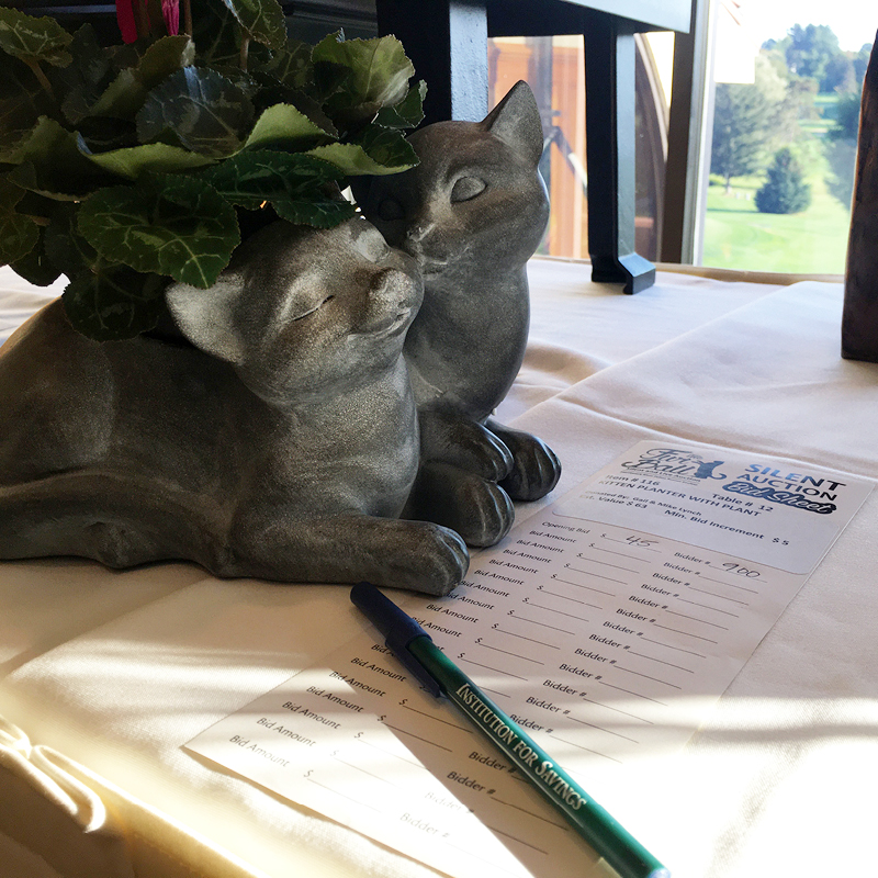 Thanks for Coming to the 2019 Fur Ball Gala & Auction