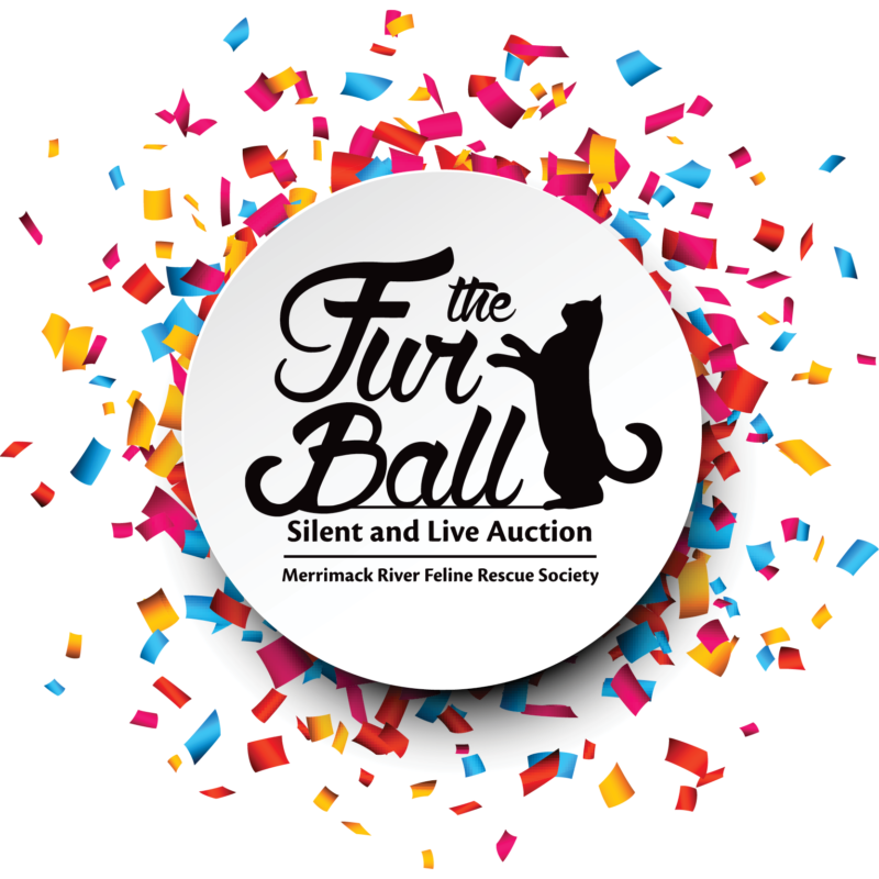2020 Virtual Fur Ball Sponsorship