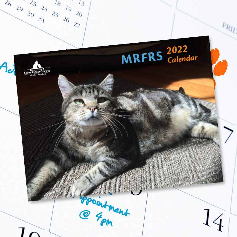 MRFRS 2023 Cat Calendar