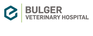 Bulger (1)