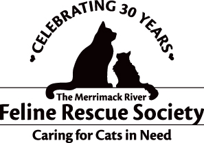 2023 Strut for Strays Fundraising Toolkit