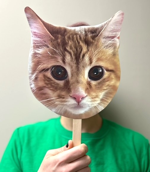 Cat Face on Stick