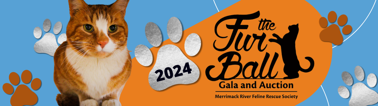 Fur Ball Gala Banner - Harris silver