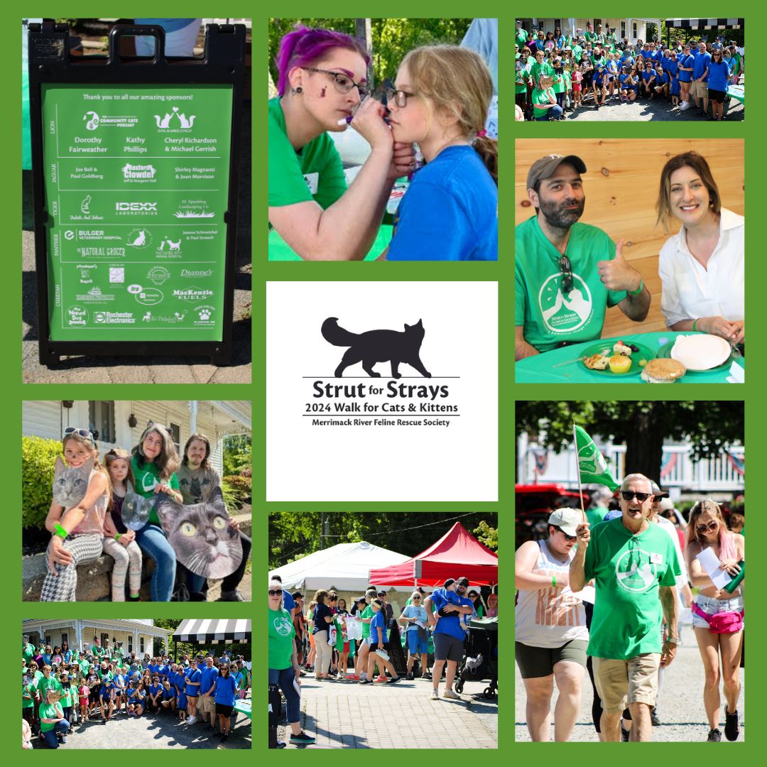 MRFRS’ 2024 Strut for Strays