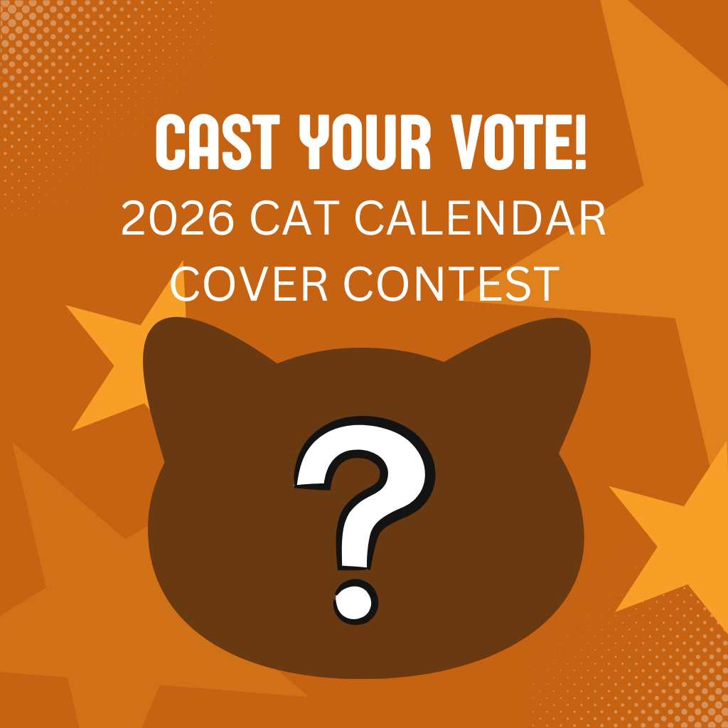 cat calendar announcement POSTS (Facebook Shops Cover (Square))
