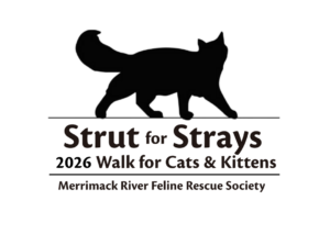 2026 Strut for Strays @ Winnekenni Park | Haverhill | Massachusetts | United States