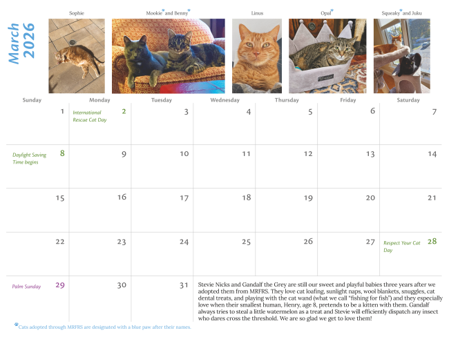 2027 Cat Snapshot Calendar Photo