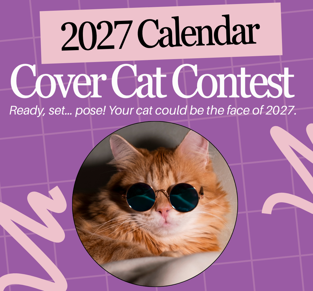 2027 Cover Cat Contest website