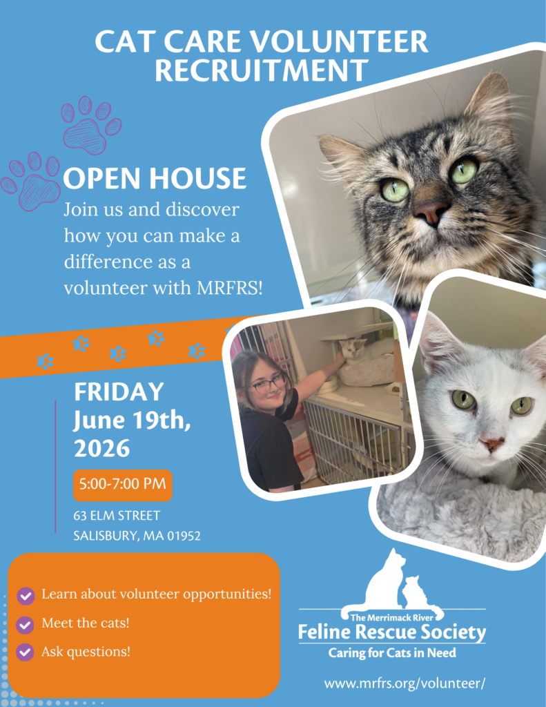 Cat Care Volunteer Open House @ Merrimack River Feline Rescue Society | Salisbury | Massachusetts | United States